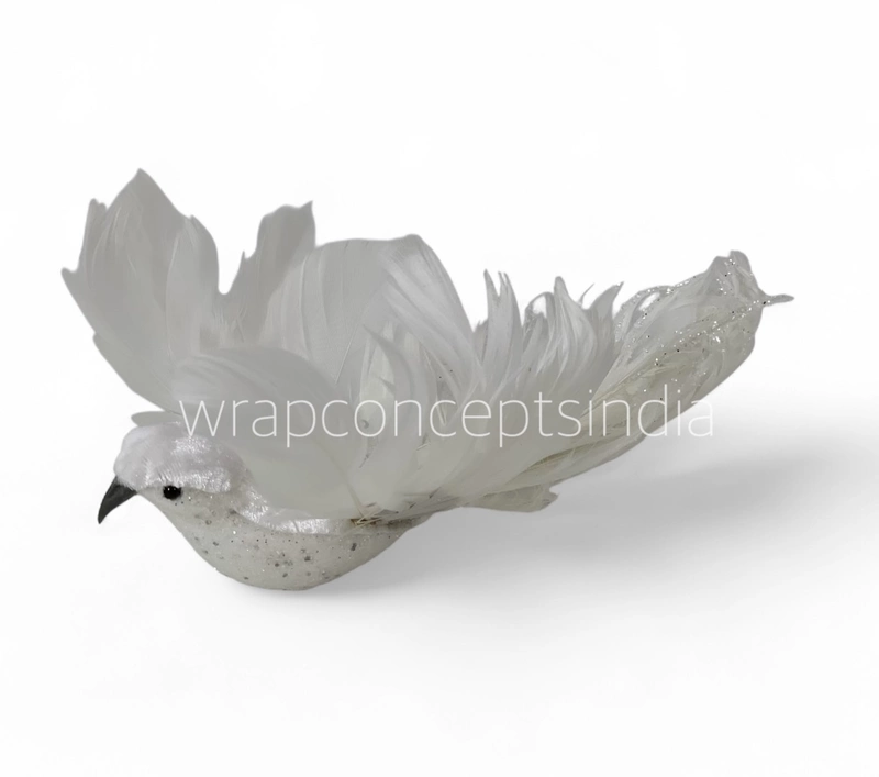 Regal Dove1