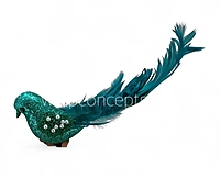 Aurora Dove