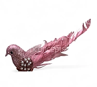 Aurora Dove