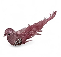 Aurora Dove