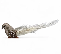 Aurora Dove
