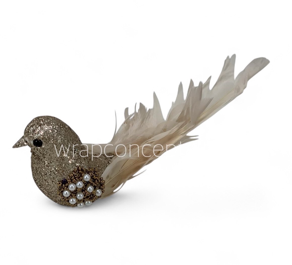 Aurora Dove