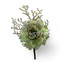 Iridescent Peony Ready Bunch