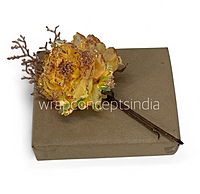 Iridescent Peony Ready Bunch