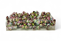 Mocha Rose Buds on Stick