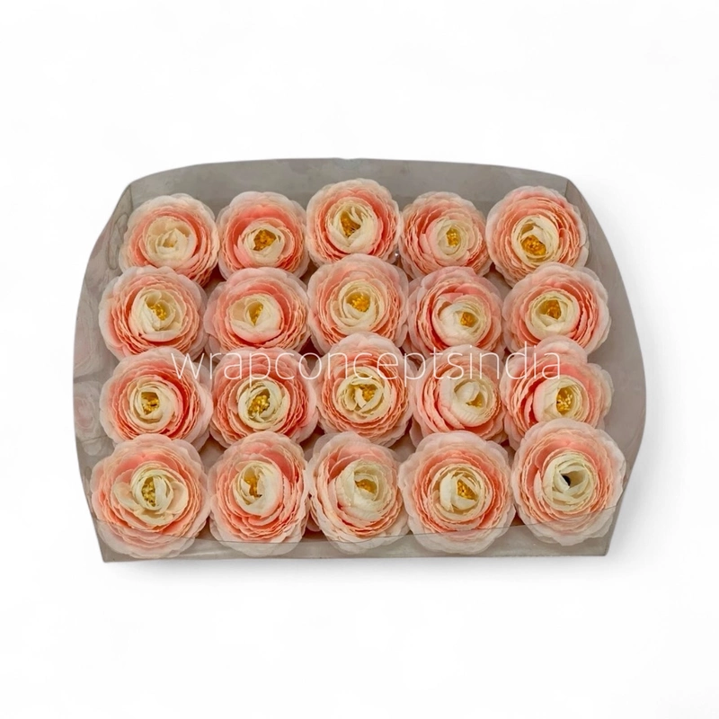 Peach Coral Ranunculus