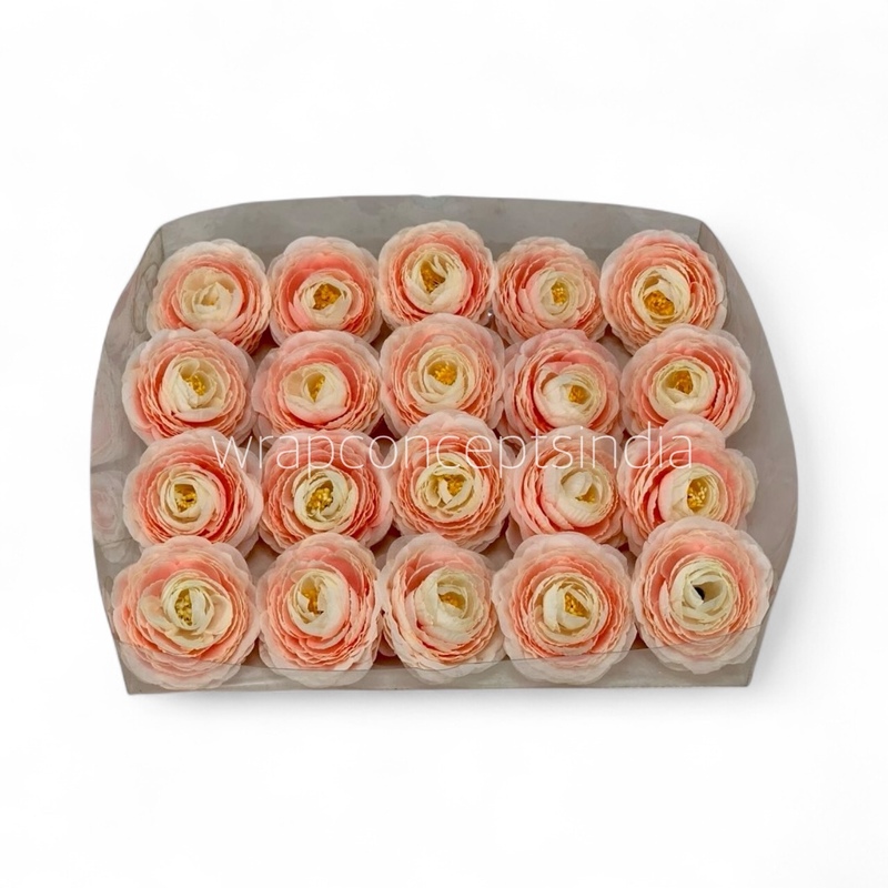 Peach Coral Ranunculus