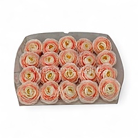 Peach Coral Ranunculus