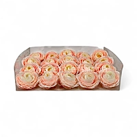 Peach Coral Ranunculus