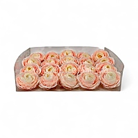 Peach Coral Ranunculus