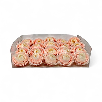 Peach Coral Ranunculus