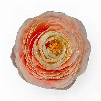 Peach Coral Ranunculus