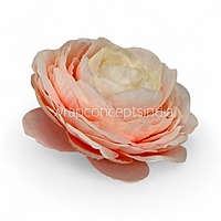 Peach Coral Ranunculus