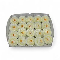 Buttercream Glow Ranunculus