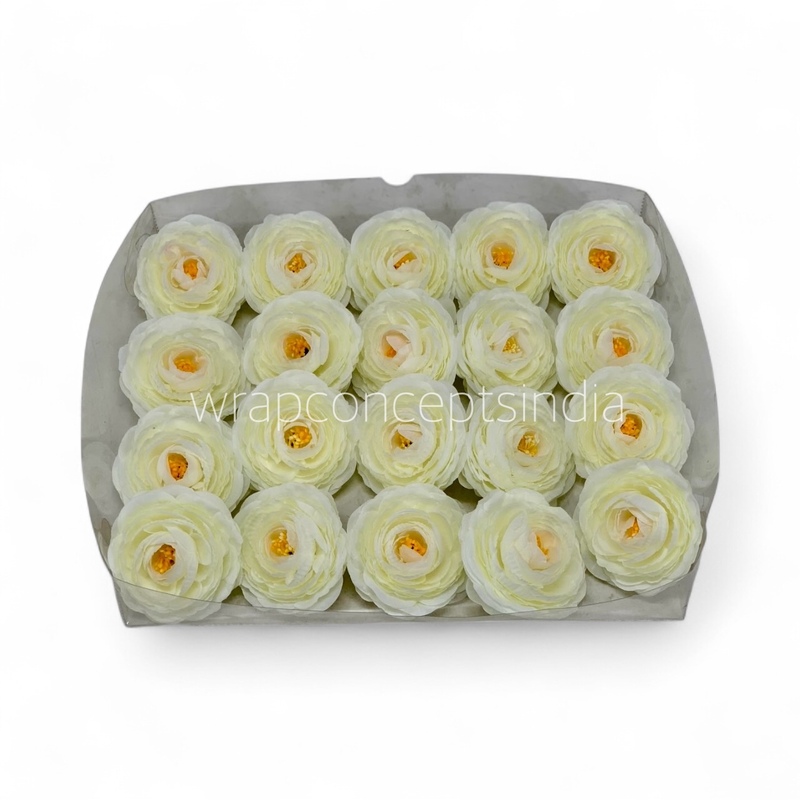 Buttercream Glow Ranunculus