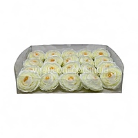 Buttercream Glow Ranunculus