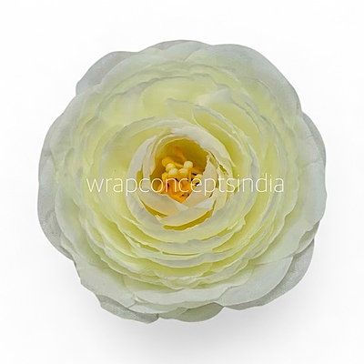 Buttercream Glow Ranunculus