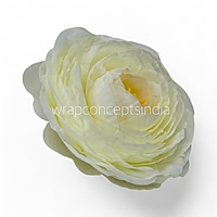Buttercream Glow Ranunculus