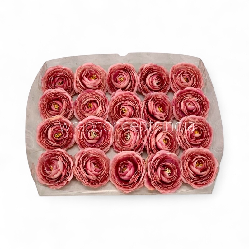 Dusky Blush Ranunculus