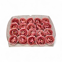 Dusky Blush Ranunculus