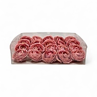 Dusky Blush Ranunculus