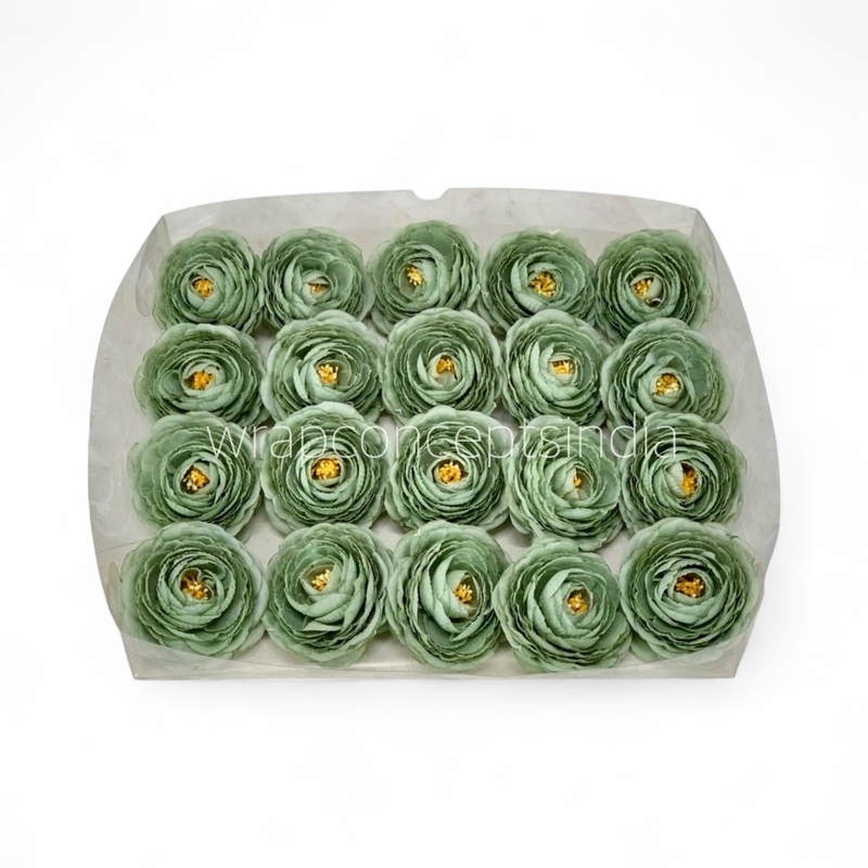 Sage Mist Ranunculus