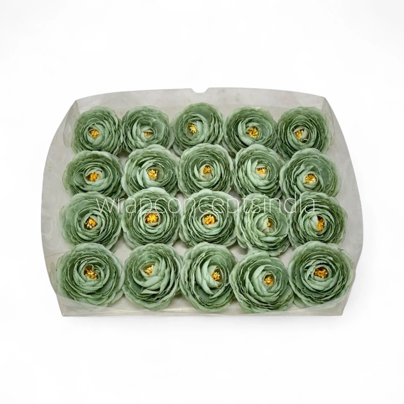 Sage Mist Ranunculus