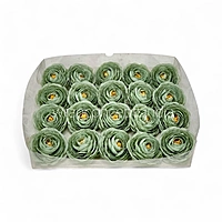 Sage Mist Ranunculus