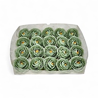 Sage Mist Ranunculus