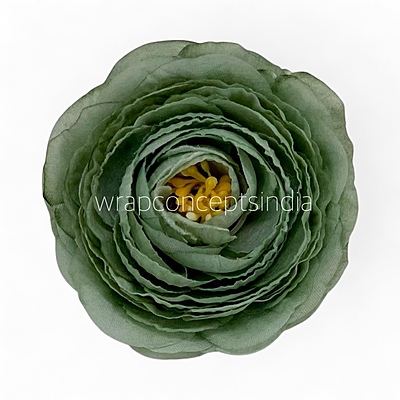 Sage Mist Ranunculus