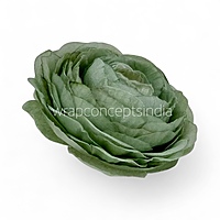 Sage Mist Ranunculus