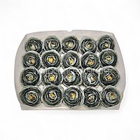 Midnight Moss Ranunculus