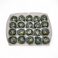 Midnight Moss Ranunculus