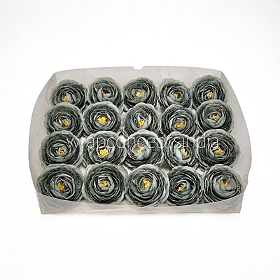 Midnight Moss Ranunculus