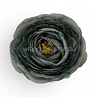 Midnight Moss Ranunculus