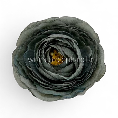 Midnight Moss Ranunculus