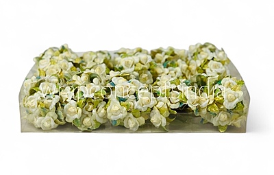 Butter Small Rose Buds