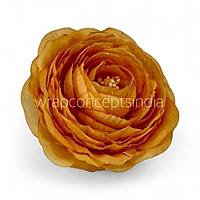 Marigold Ranunculus