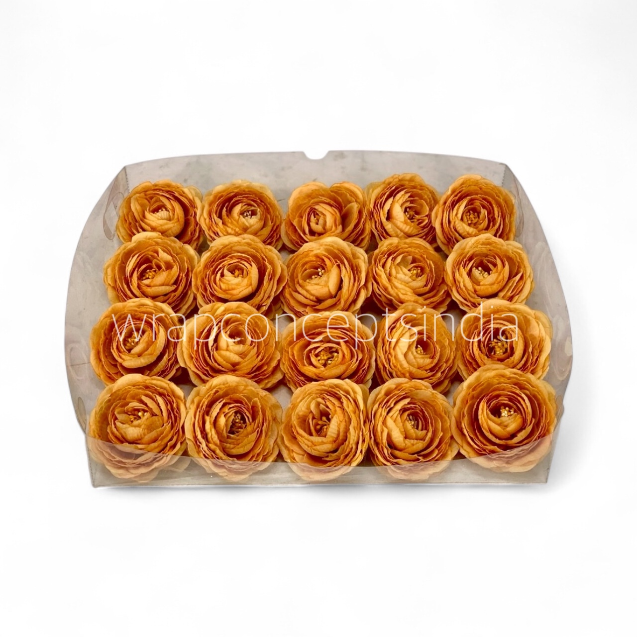 Marigold Ranunculus