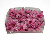 Pink Layered Glitter Poinsettia