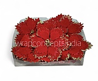Velvet Gold Tipped Poinsettia