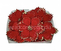 Velvet Gold Tipped Poinsettia
