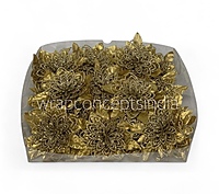 Golden Radiance Mesh Poinsettia