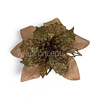 Peach Glimmer Poinsettia