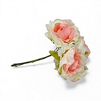 Shaded Peach Small Roses