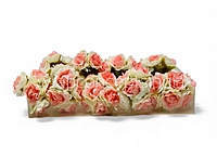 Shaded Peach Small Roses