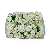 White Daffodils on Stick