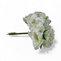 White Daffodils on Stick