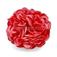 Coral Carnation