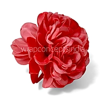 Coral Carnation
